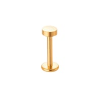 049-Gold Picture9