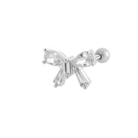 10# Zilver Afbeelding4