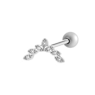 938—Silver Picture2