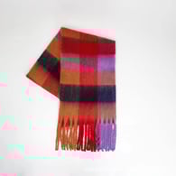 Red Bild11