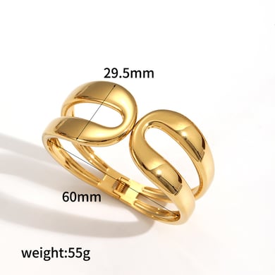 1 Piece Statement Stainless Steel Bangle h5 