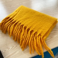 ginger Bild3