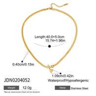 JDN0204052 