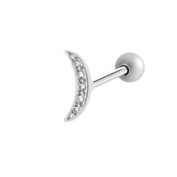 938—Silver Picture7