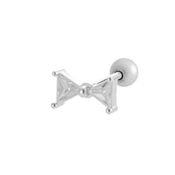 2# Zilver Afbeelding12