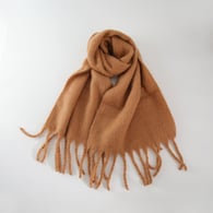 Camel Bild13