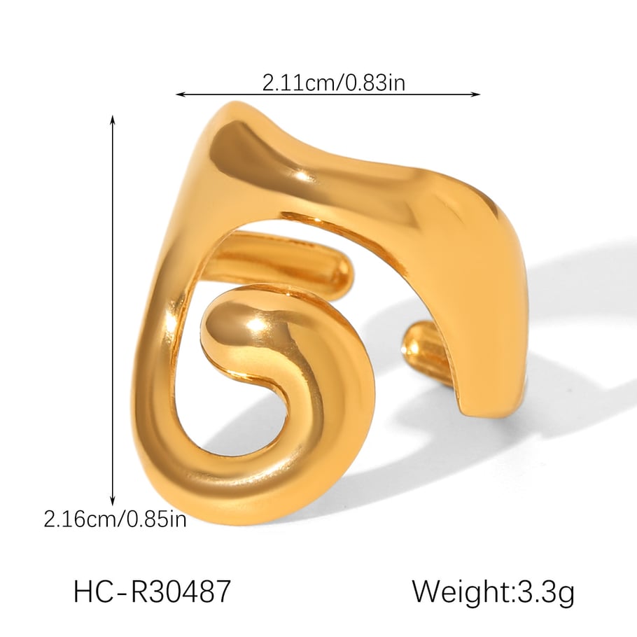 1 Piece Simple  Daily Irregular Shape Stainless Steel  Statement Rings Picture2
