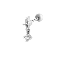 2# Silver Picture4