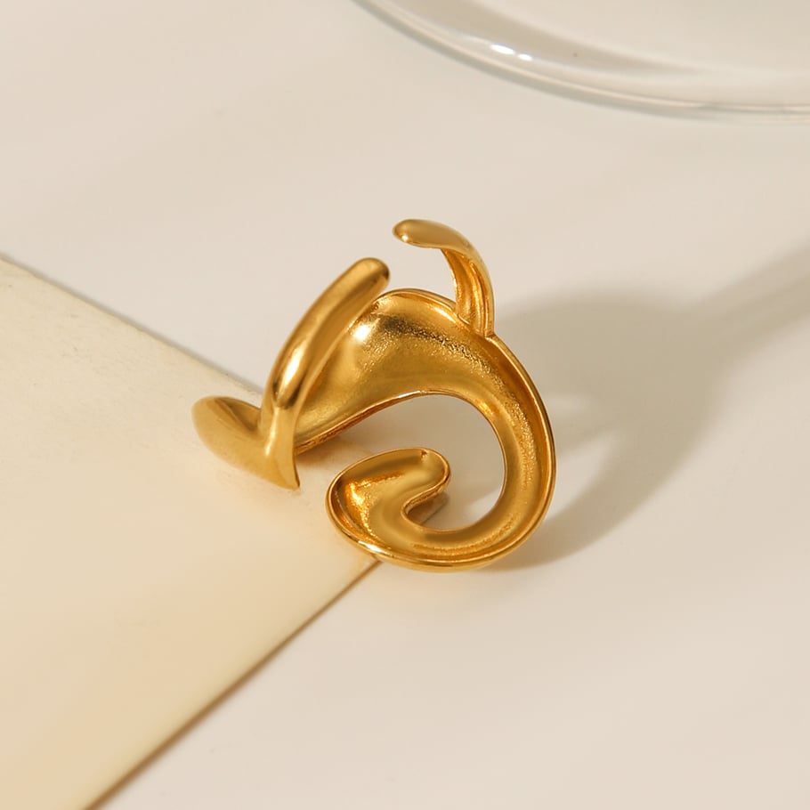 1 Piece Simple  Daily Irregular Shape Stainless Steel  Statement Rings Picture7