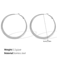 EH02S6CM Silver Earrings Picture4