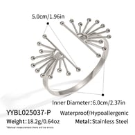YYBL025037-P Afbeelding2