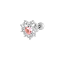 3# Zilver Afbeelding5