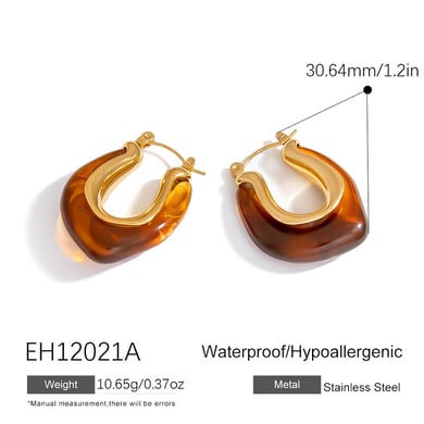 1 Pair Simple Daily Irregular Shape Stainless Steel  Women's Hoop Earrings h5 Picture2