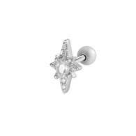 052—Zilver Afbeelding18