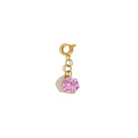 Spring Clasp N2662 Pendant-Gold-4 Picture14