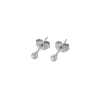 389-Plata Imagen2