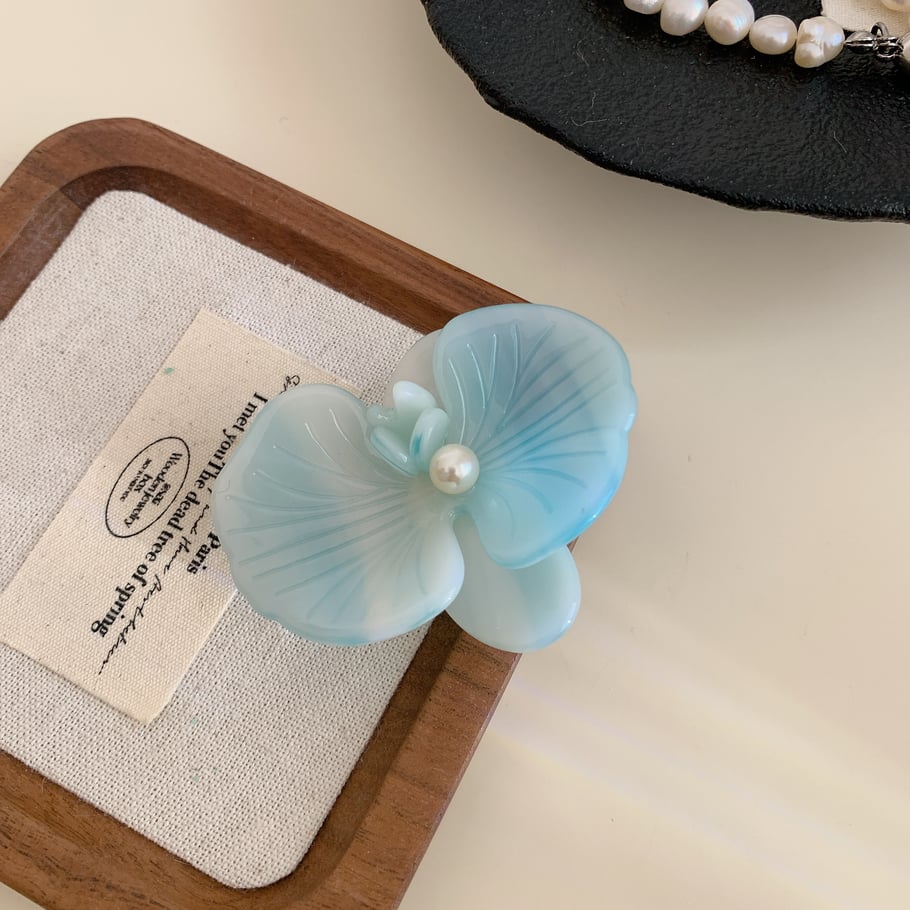 1 Pair Simple Series Daily Flower Acetate Women's Hair Claws 