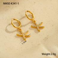 NMSE-K341-1 Golden Starfish Picture15