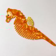 11# Seahorse Picture3