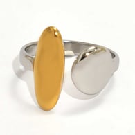 Gold and silver color/One size Imagen3