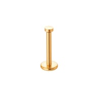 049-Gold Picture6