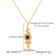 HC-N40574 