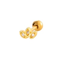 051 - Goud Afbeelding10