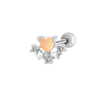 6# Zilver Afbeelding11