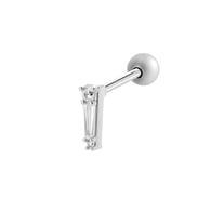 938—Silver Picture5