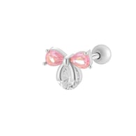 2# Zilver Afbeelding12