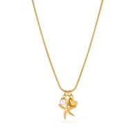 GX2666-Steel Necklace Gold Picture2