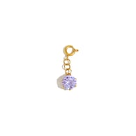 Spring clasp N2662 pendant-gold-5 Picture13