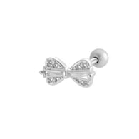 7# Zilver Afbeelding7