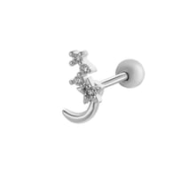 2# Silver Picture10