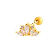 7#Dorado Imagen11