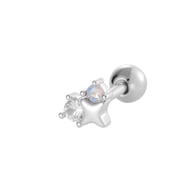 051—Zilver Afbeelding5