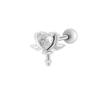 2# Zilver Afbeelding3