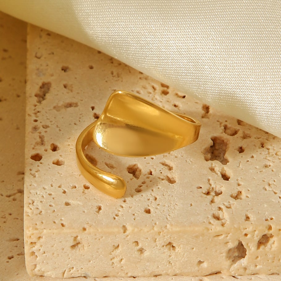 1 Piece Simple Daily Irregular Shape Stainless Steel Statement Rings h5Picture4