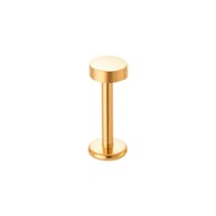 049-Gold Picture10