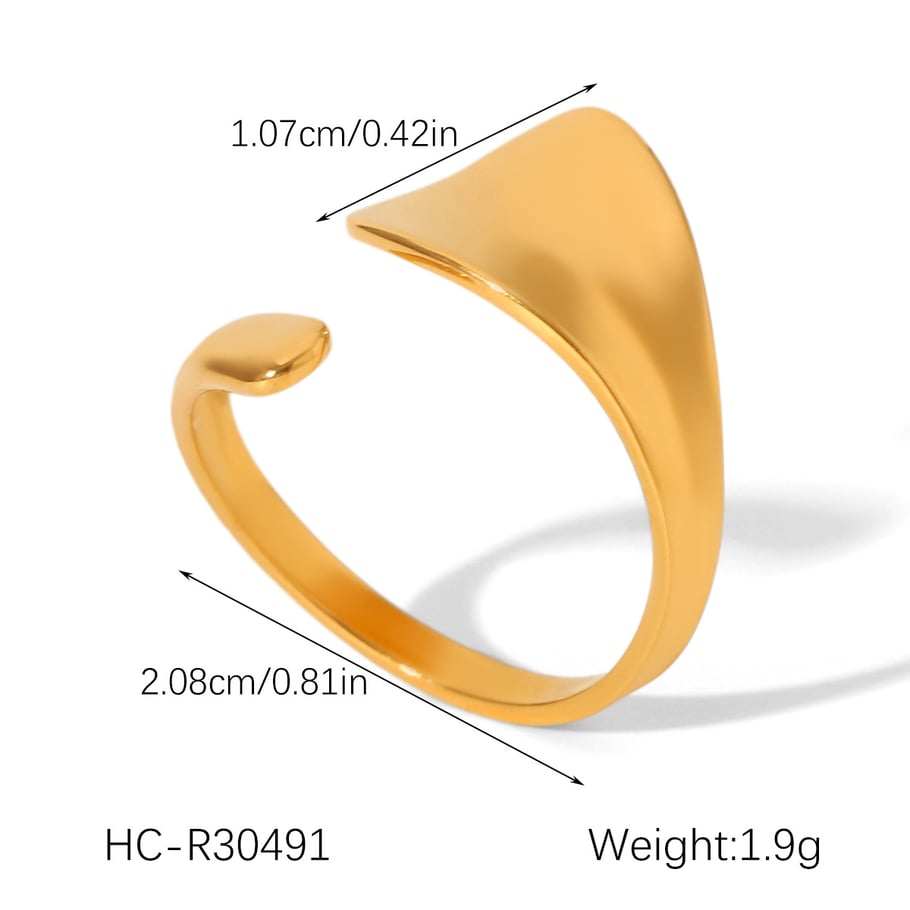 1 Piece Simple Daily Irregular Shape Stainless Steel Statement Rings h5Picture2