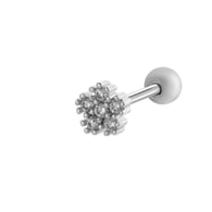1# Silver Picture9