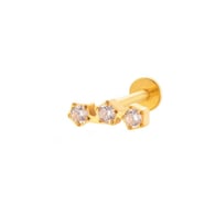 T2509-7#Oro Imagen14