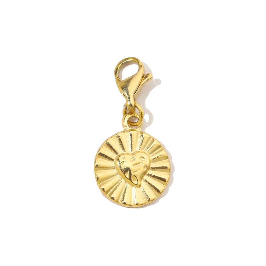 1 Piece Romantic Heart Stainless Steel Women's Pendants 