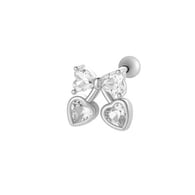 5# Silver Picture14