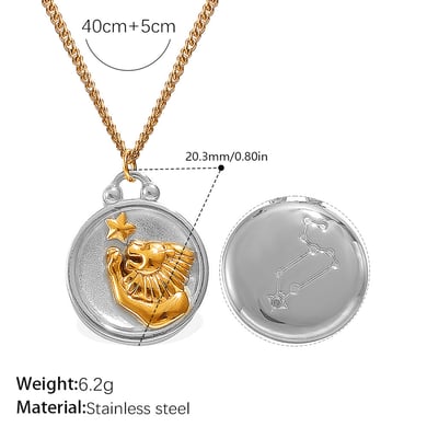 1 Piece Zodiac Signs Stainless Steel Mixed Color  Pendant Necklace h5 