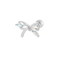 6# Zilver Afbeelding8