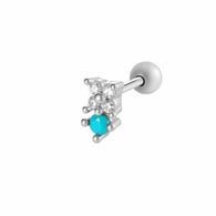 052—Zilver Afbeelding17