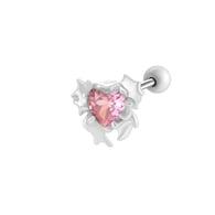 7# Plata Imagen13