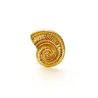 Gold 46mm large conch ring/One Size 