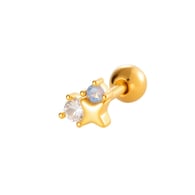 051 - Goud Afbeelding13